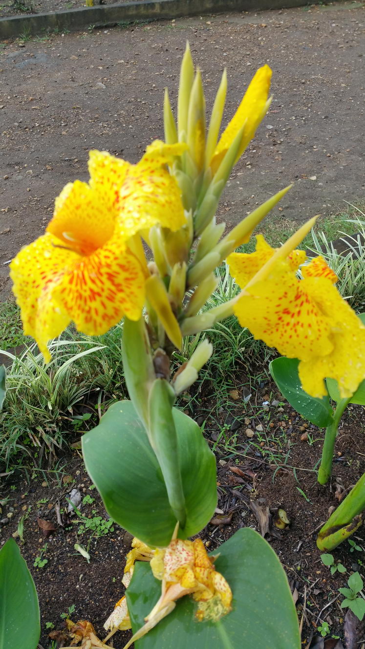 20160207 153320 (2016 10 02 16 07 39 UTC)